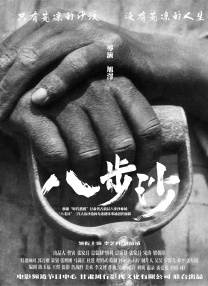 成人精品视频
